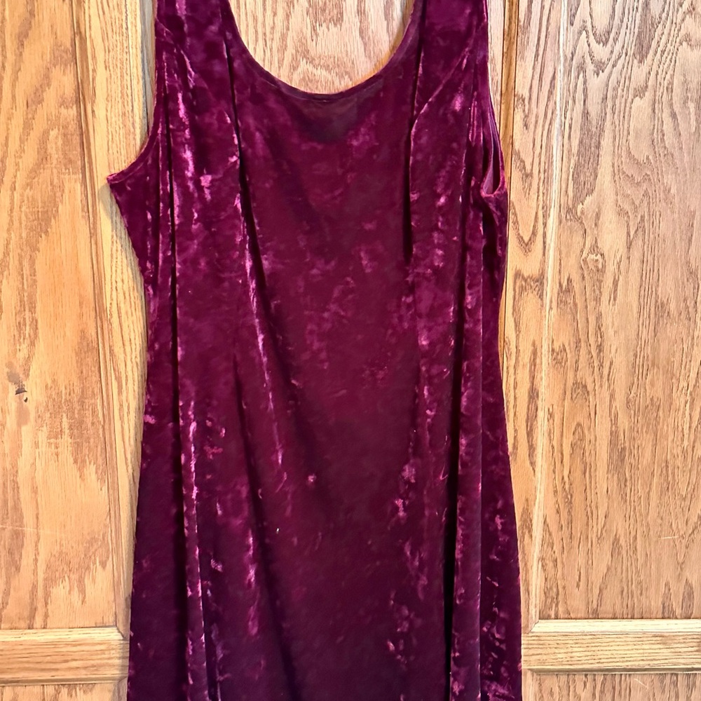 Forever 21 Velvet Dress in Burgundy